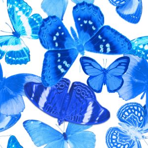 Colorful Butterflies B embroidery style
